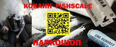 гашик Кингисепп
