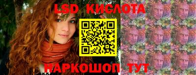 гашик Кингисепп