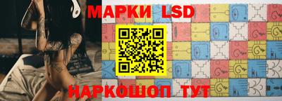гашик Кингисепп