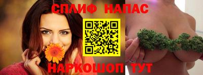 гашик Кингисепп