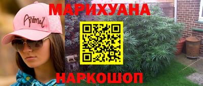 гашик Кингисепп