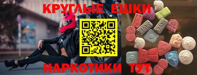 гашик Кингисепп