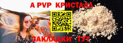гашик Кингисепп