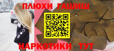 гашик Кингисепп