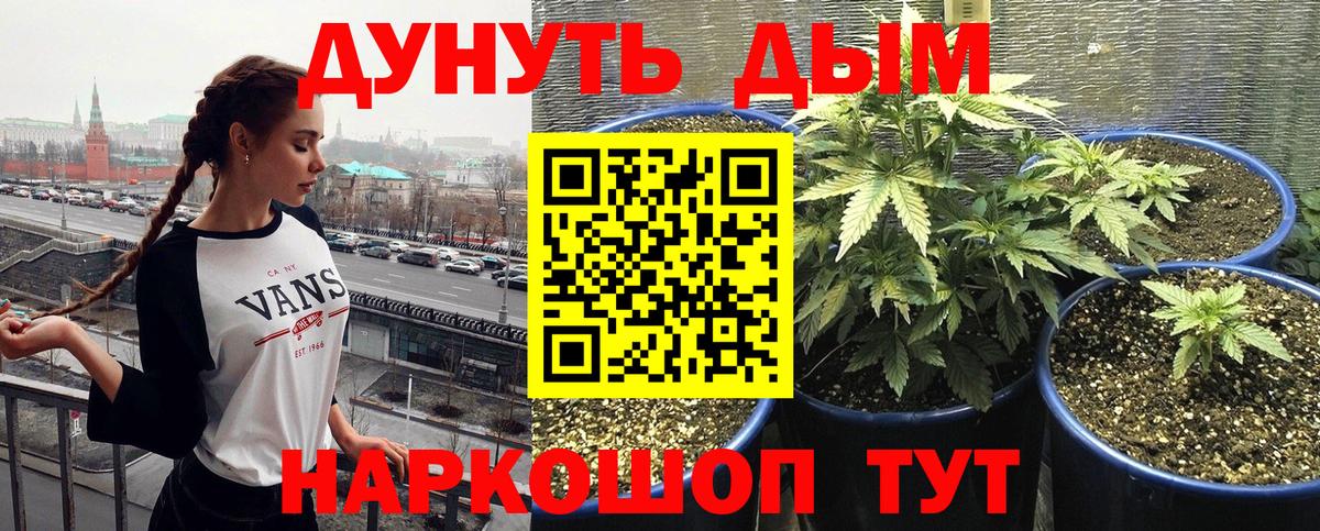 Бошки Шишки  Кокаин  МЕФ кристаллы  Экстази  Лсд 25  ГАШ  Егорьевск  Вход с VPN 